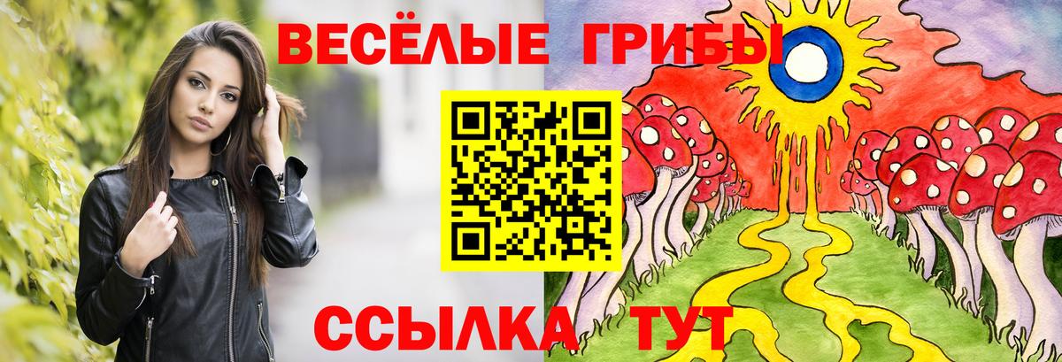 Ногинск  Псилоцибиновые грибы ЛСД  Галлюциногенные грибы мухоморы  Вход с VPN 