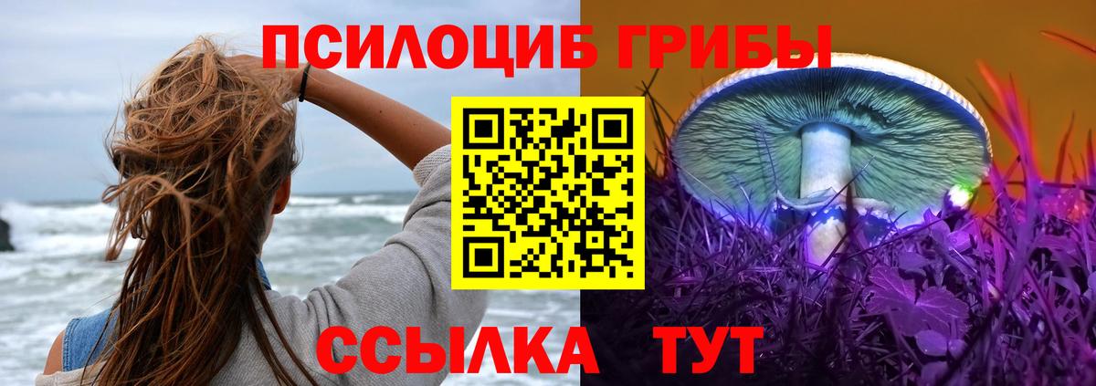 Псилоцибиновые грибы прущие грибы Ногинск